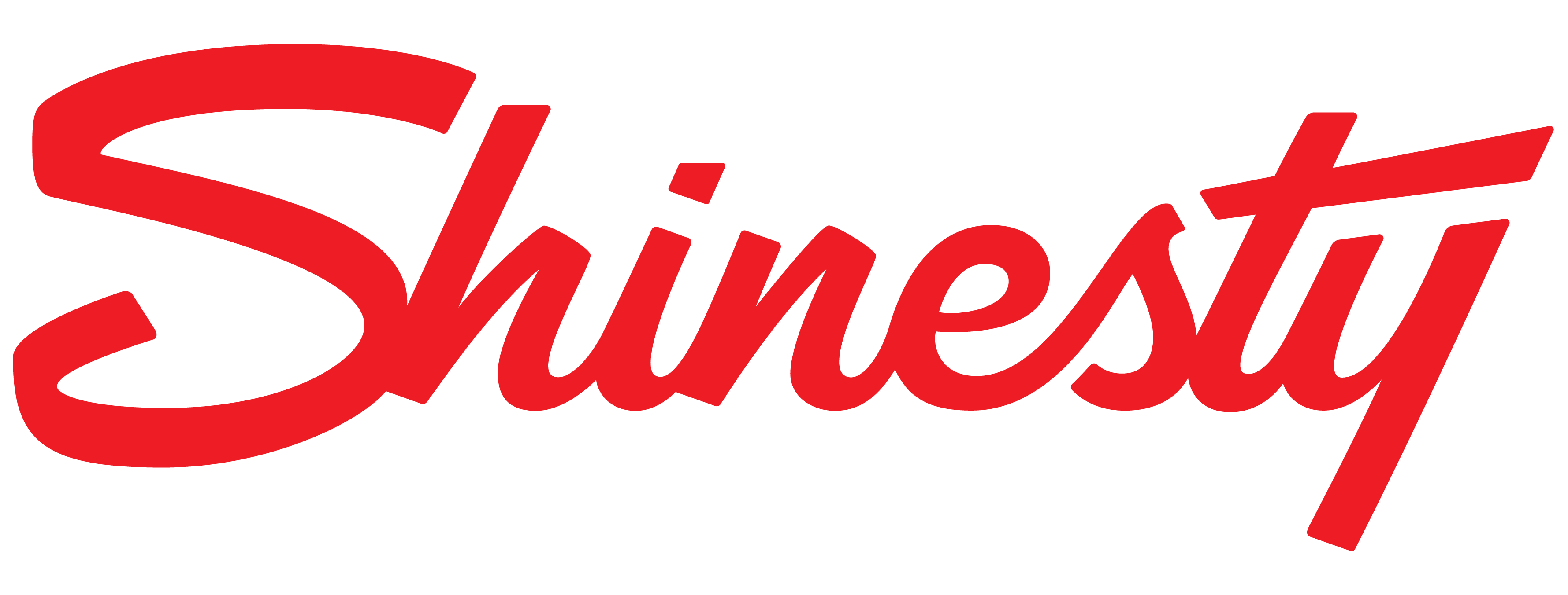 Shinesty logo